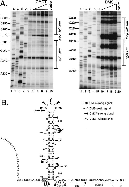 FIG. 6