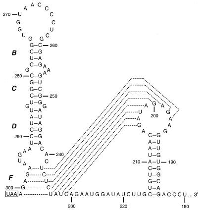 FIG. 7