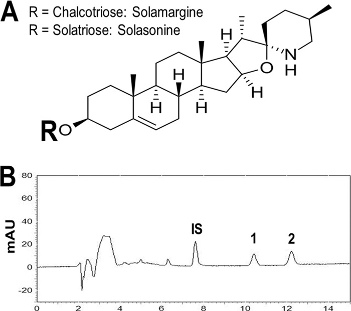 FIG 1