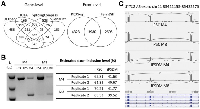 Fig. 7.