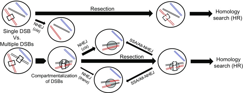 Fig. 7.