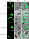 Figure 10