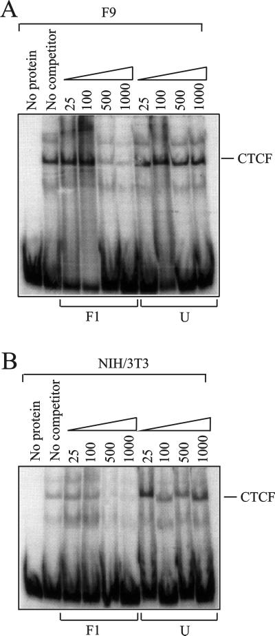 FIG. 6