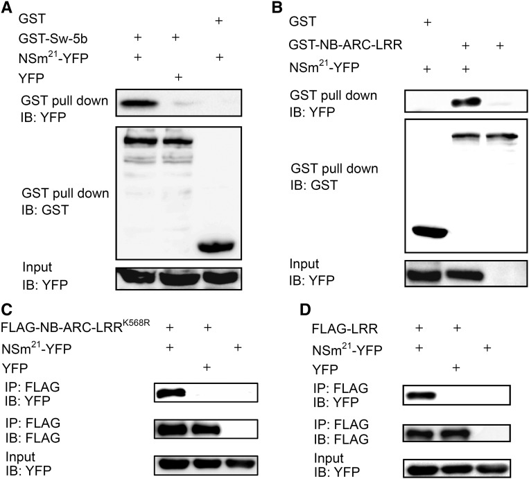 Figure 3.