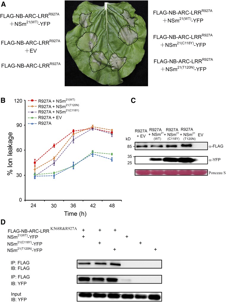 Figure 6.