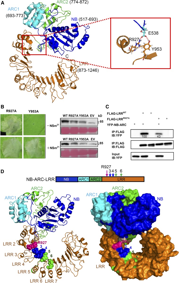 Figure 5.