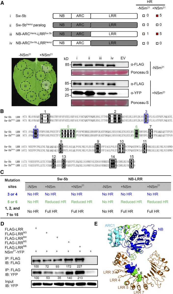 Figure 4.