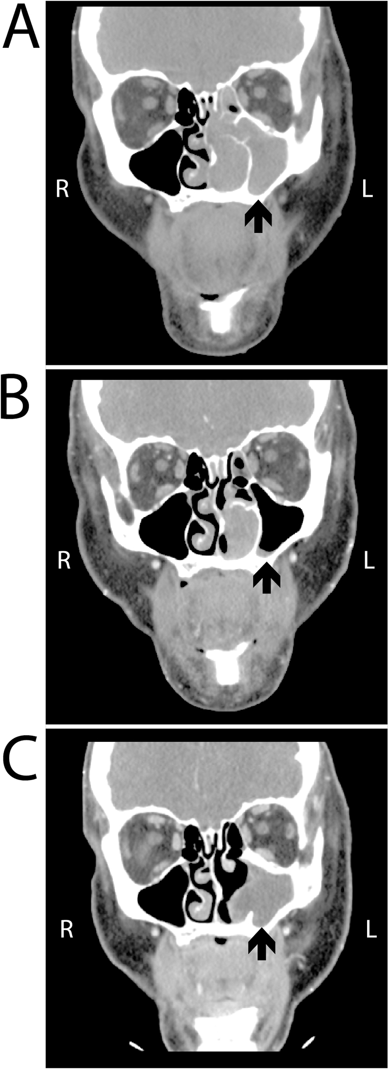 Figure 2.