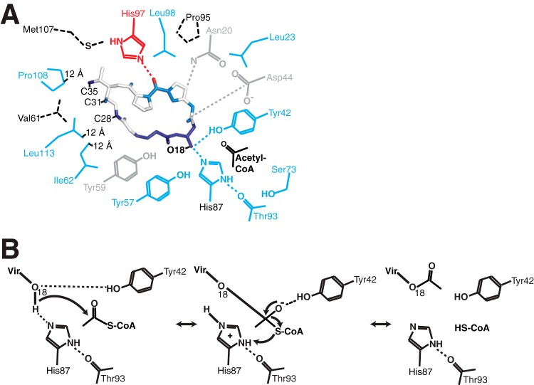 FIG 6