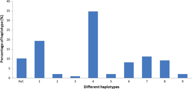 Figure 4