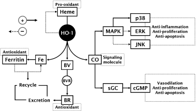 Fig. 2