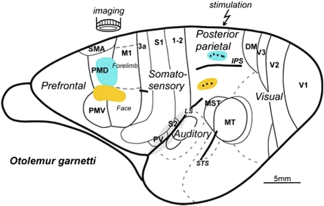 Fig. P1.