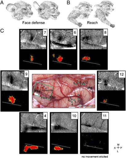 Fig. 4.