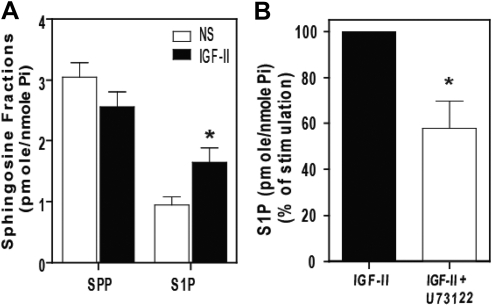 Fig. 9.