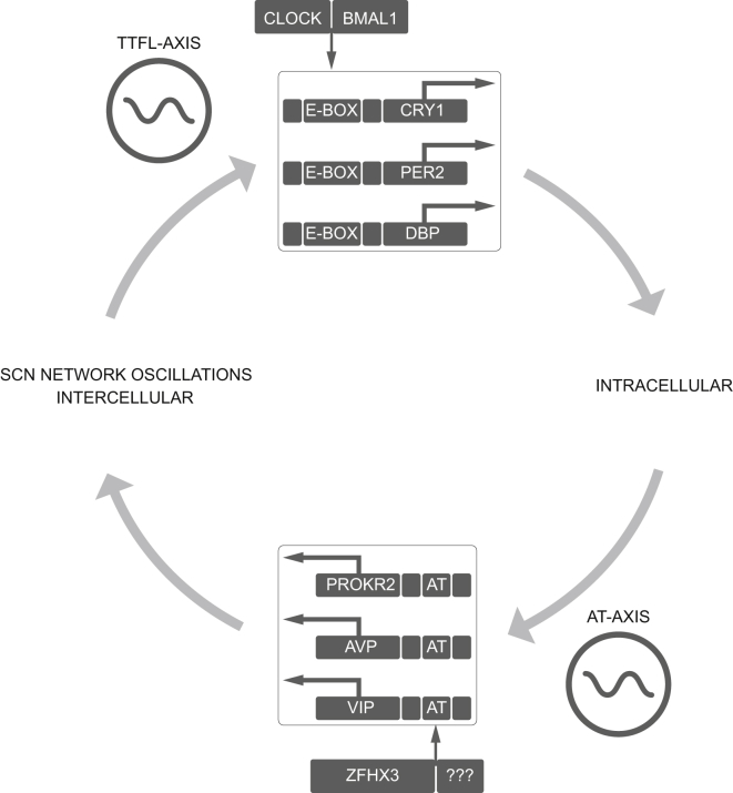 Figure 7