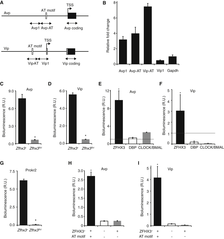 Figure 6