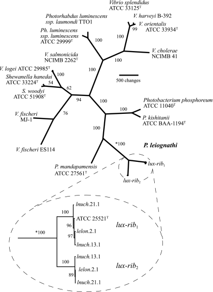 FIG. 3.