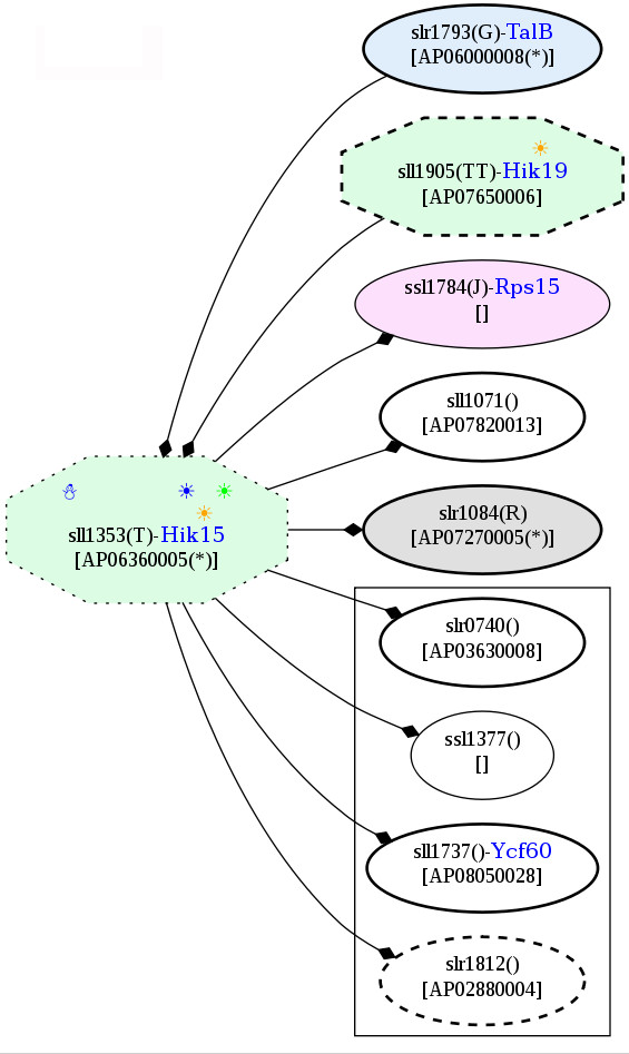 Figure 19