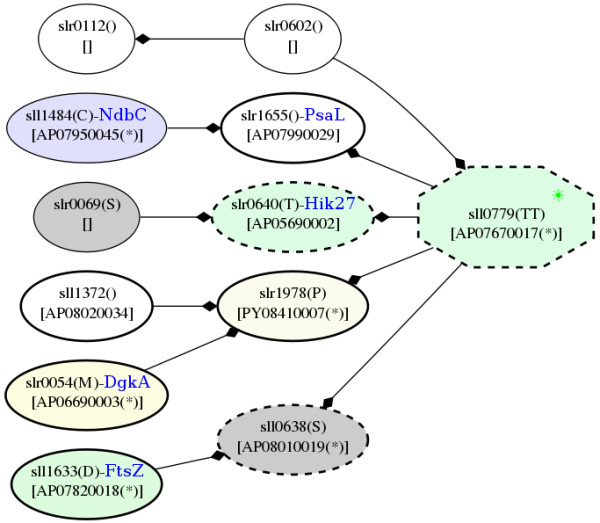 Figure 20