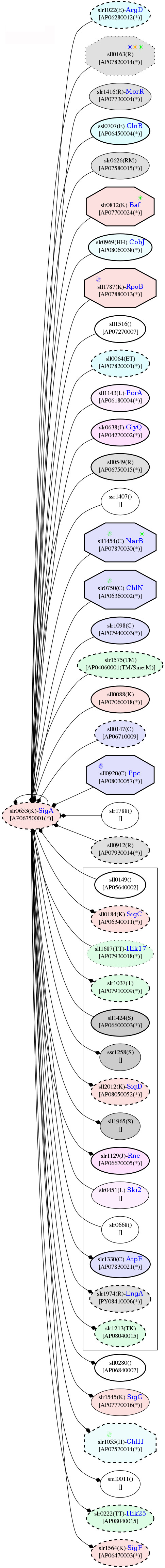 Figure 14