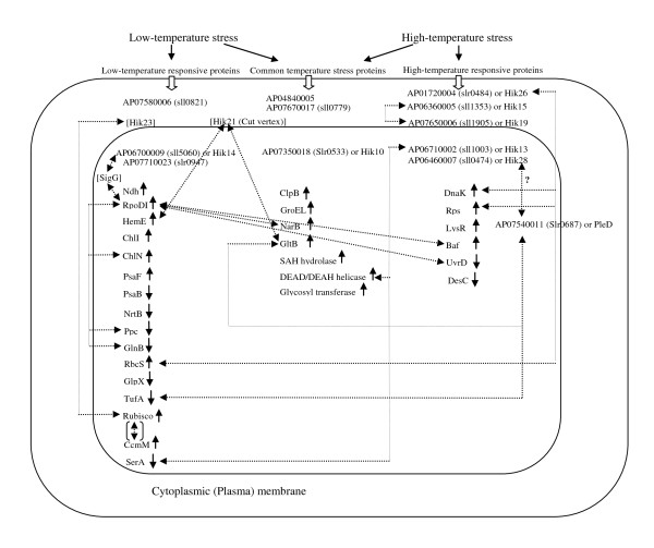 Figure 21