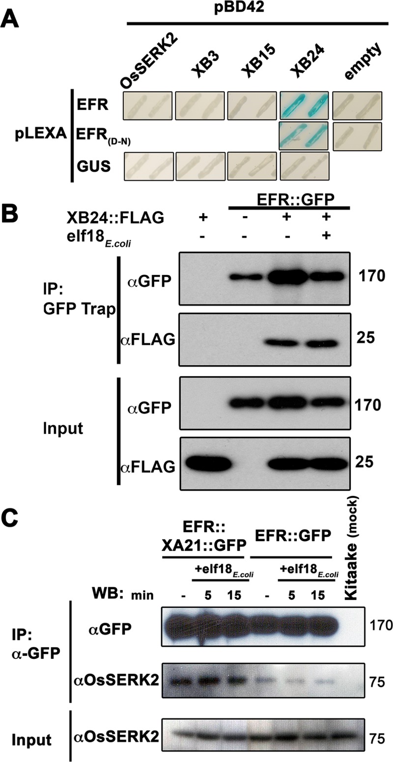 Fig 5