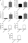 <b>FIG. 2.</b>
