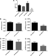 <b>FIG. 6.</b>