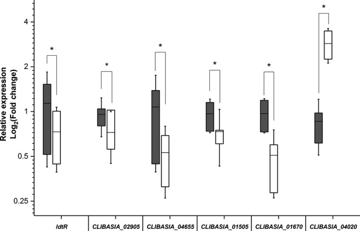 Figure 5