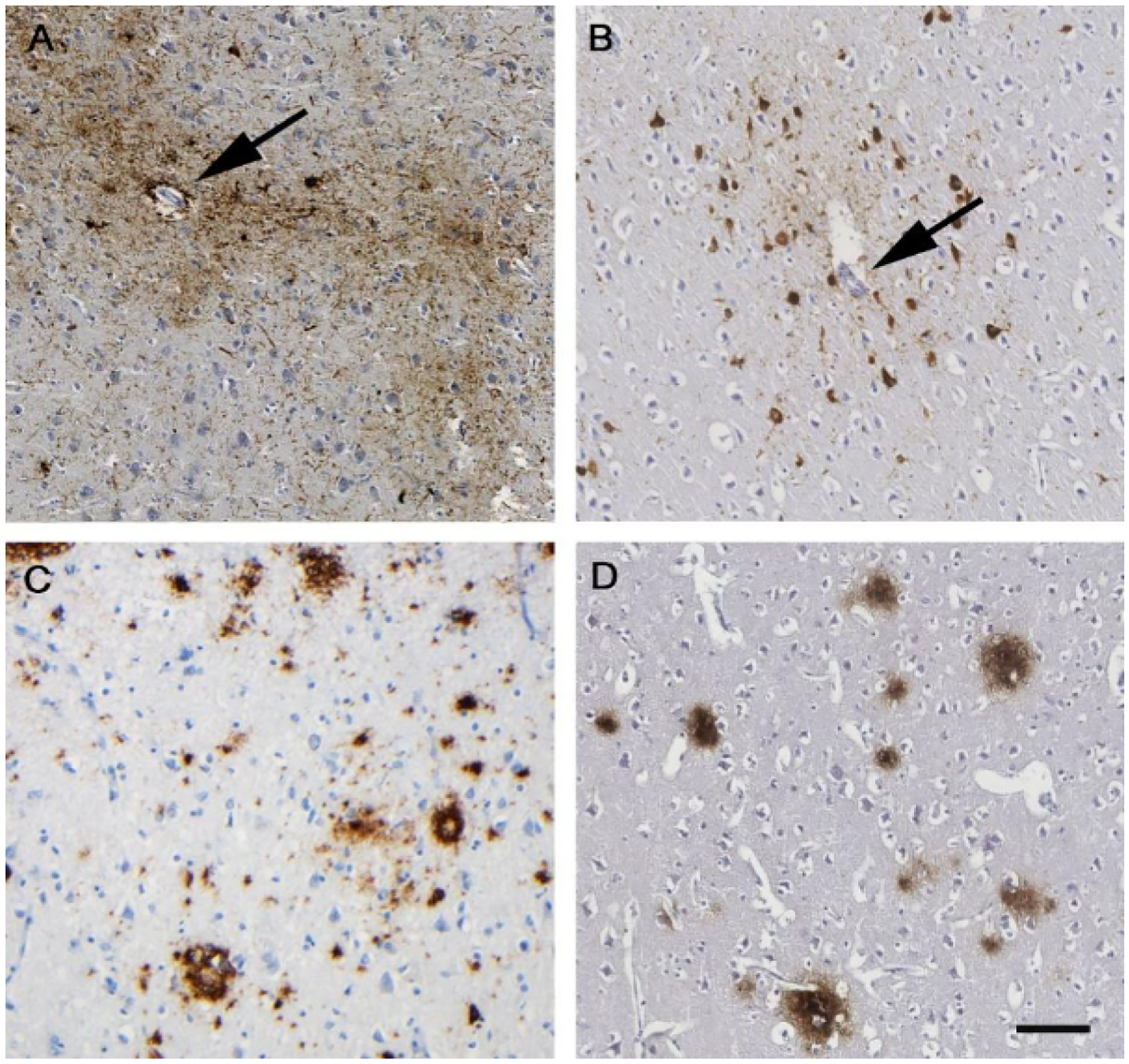 Figure 2: