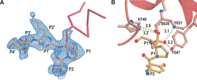 Figure 5.