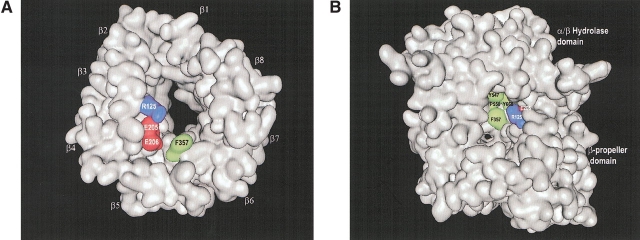 Figure 2.