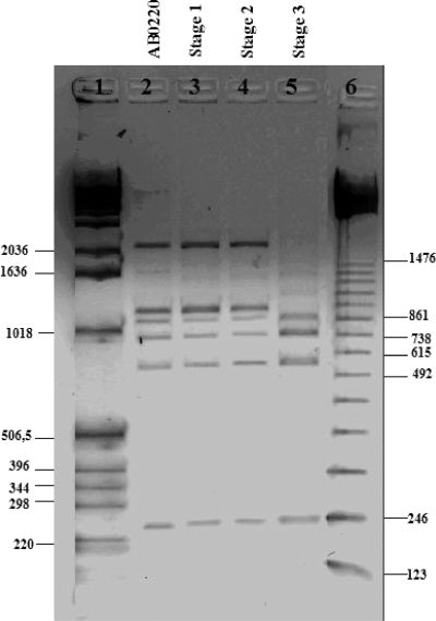 FIG. 4.