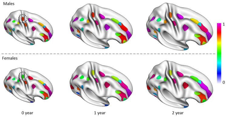 Figure 11