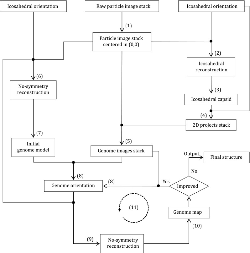 Fig. 1