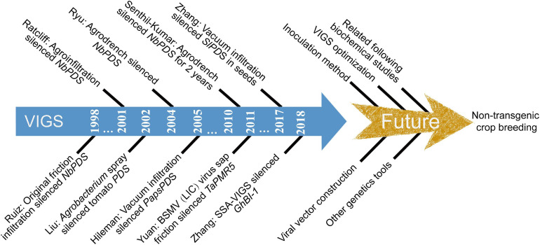 FIGURE 4