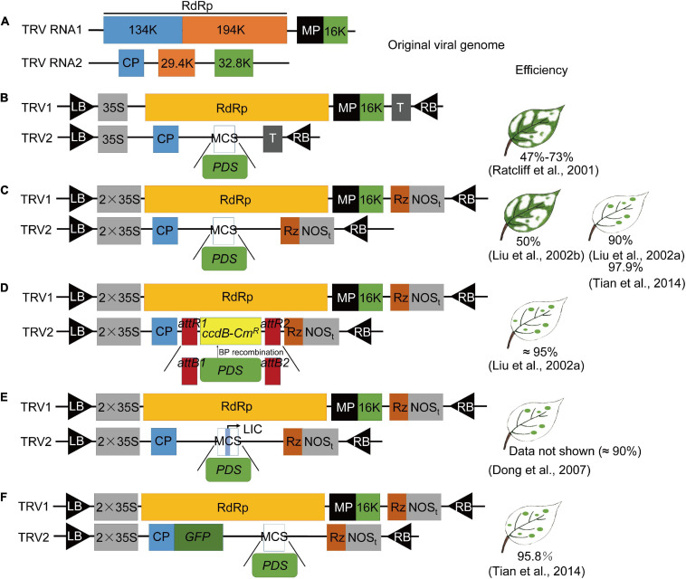 FIGURE 2