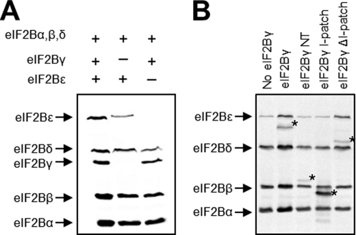 FIGURE 7.