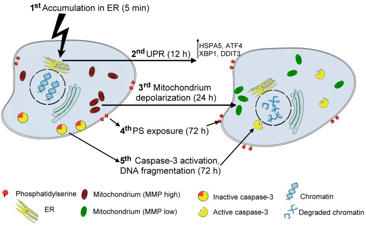 Figure 9