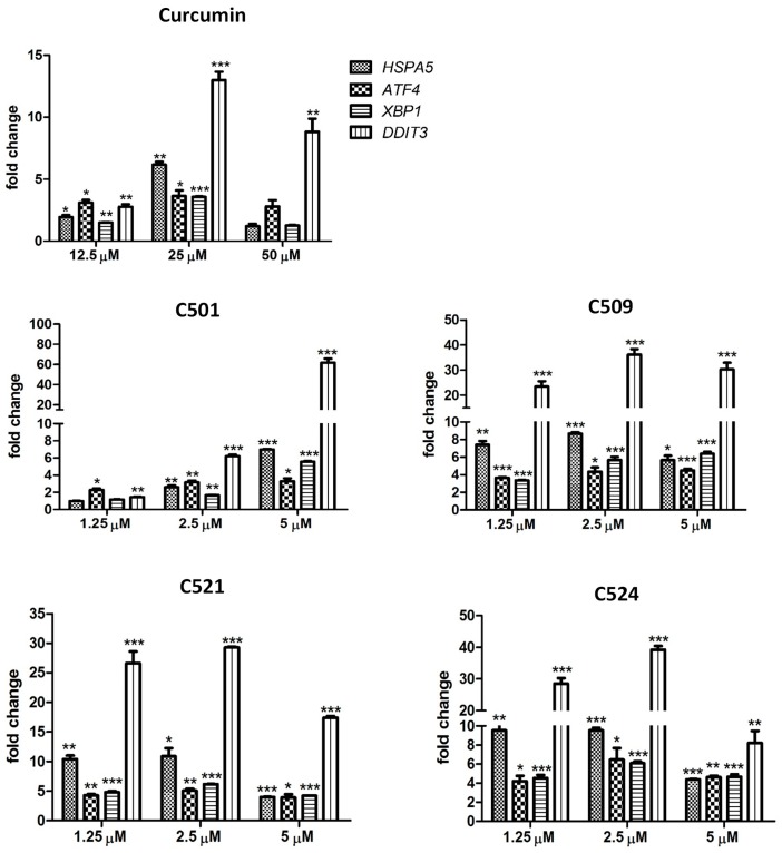 Figure 5