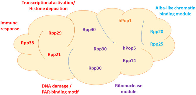 FIGURE 1.