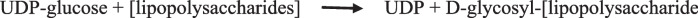 graphic file with name 43141_2023_591_Figa_HTML.jpg