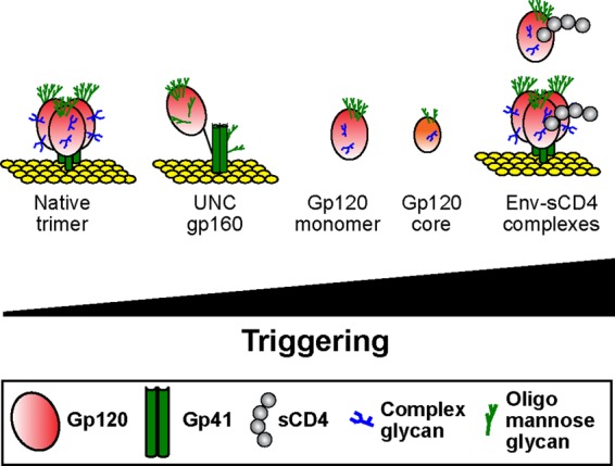 Fig 7