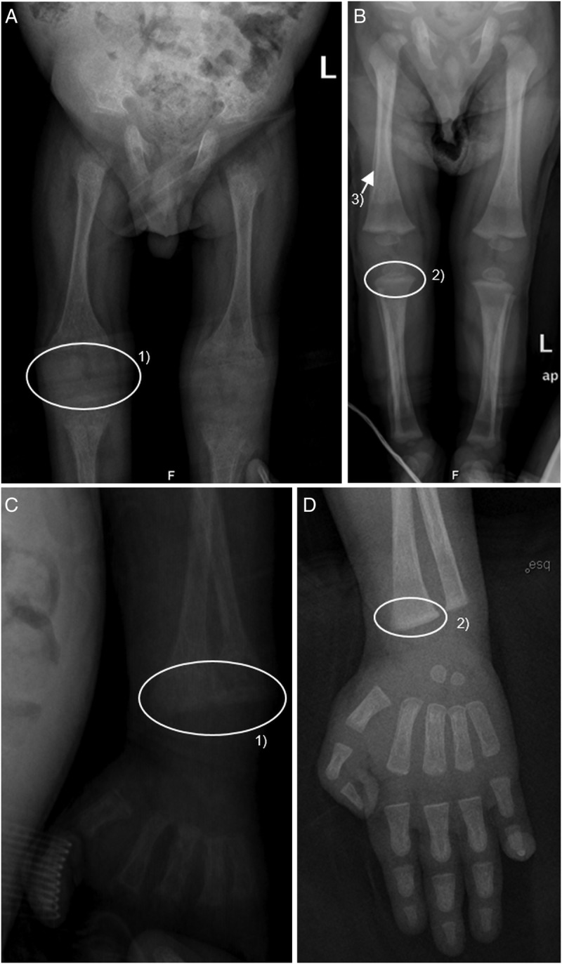 Figure 3