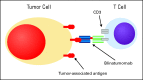 Fig 2.