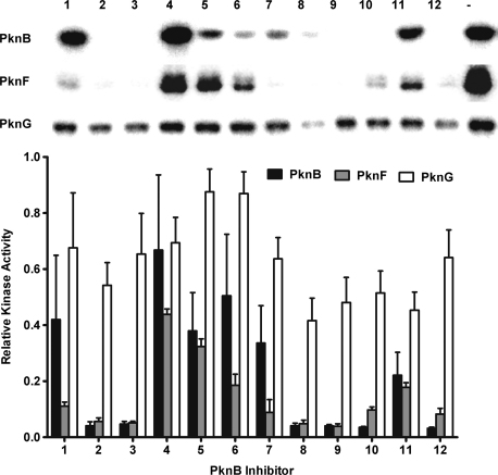 Figure 4