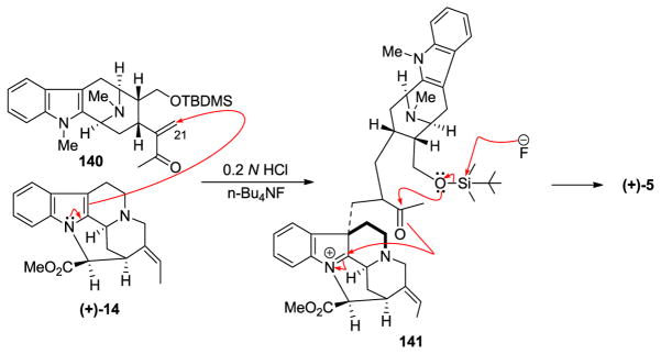 Scheme 18