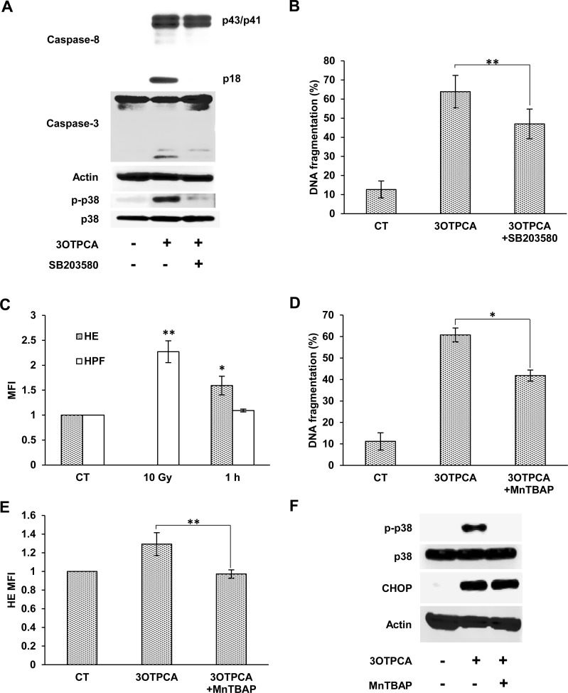 Fig 8