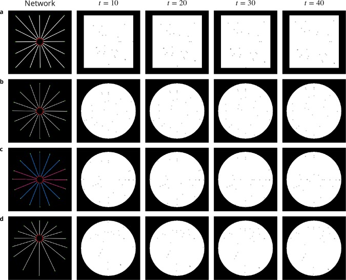 Appendix 1—figure 2.