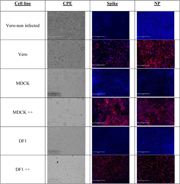 Fig. 4